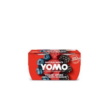 YOMO YOGURT INTERO FRUTTI...