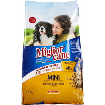 MIGLIOR CANE MINI...