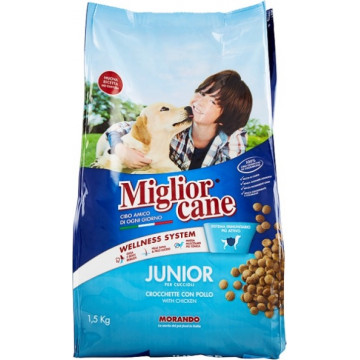 MIGLIOR CANE JUNIOR...