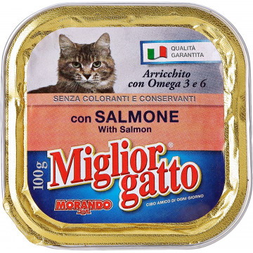 MIGLIOR GATTO SALMONE...