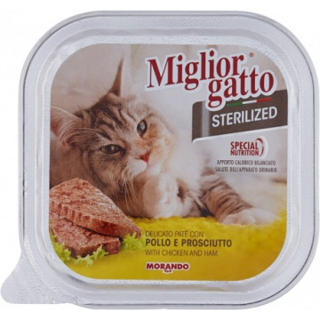 MIGLIOR GATTO STERILIZED...