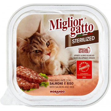 MIGLIOR GATTO STERILIZED...