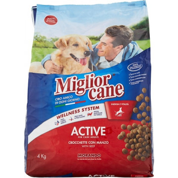 MIGLIOR CANE ACTIVE...