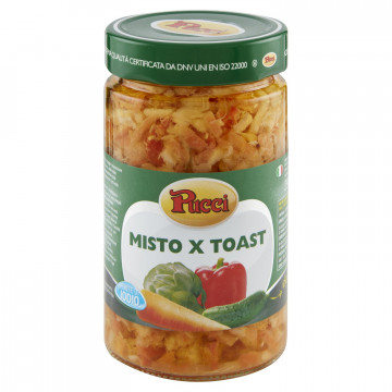 MISTO TOAST PUCCI 290G